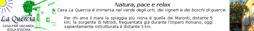 Per la tua vacanza di relax a Ischia Casa La Quercia